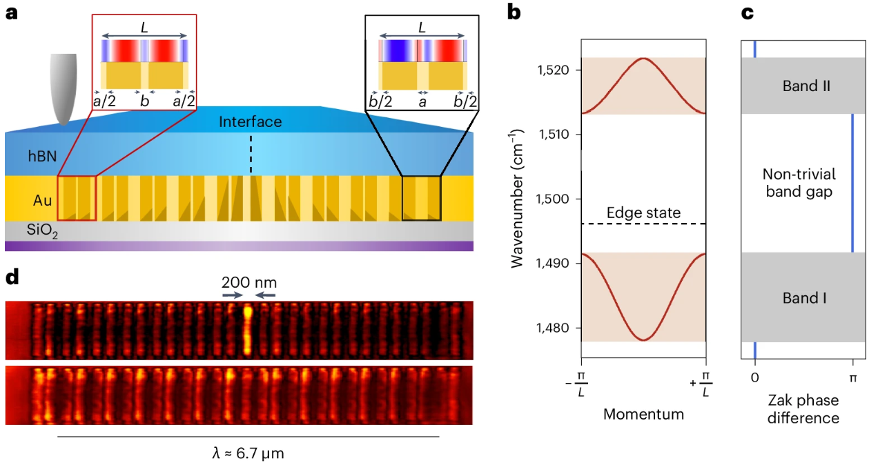 hyperbolic topological state